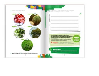 1° curiosos exploradores