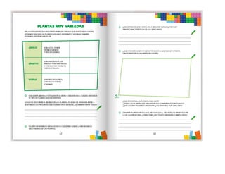 1° curiosos exploradores