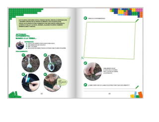 1° curiosos exploradores