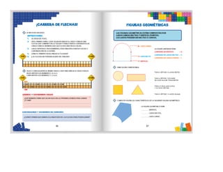 1° curiosos exploradores