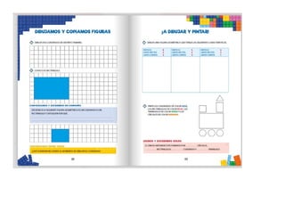 1° curiosos exploradores