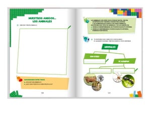 1° curiosos exploradores