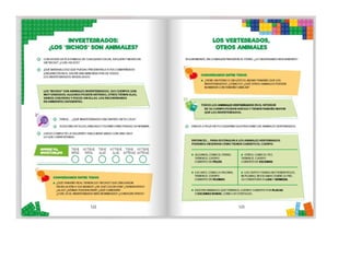 1° curiosos exploradores