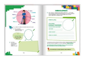 1° curiosos exploradores