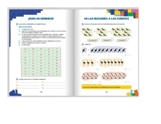 1° curiosos exploradores