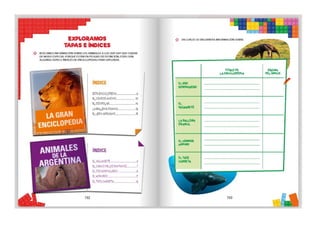 1° curiosos exploradores