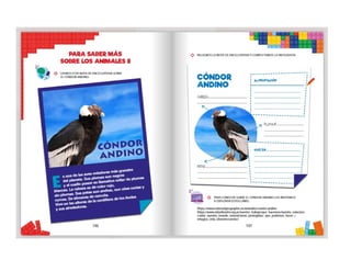 1° curiosos exploradores