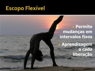 Permite
        
  mudanças em
intervalos fixos
   Aprendizagem
           a cada
        liberação
 