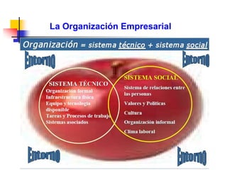 La Organización Empresarial
 