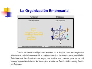 La Organización Empresarial
 