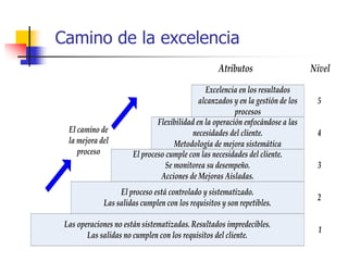 Las operaciones no están sistematizadas. Resultados impredecibles.
Las salidas no cumplen con los requisitos del cliente.
El proceso está controlado y sistematizado.
Las salidas cumplen con los requisitos y son repetibles.
El proceso cumple con las necesidades del cliente.
Se monitorea su desempeño.
Acciones de Mejoras Aisladas.
Flexibilidad en la operación enfocándose a las
necesidades del cliente.
Metodología de mejora sistemática
Excelencia en los resultados
alcanzados y en la gestión de los
procesos
5
4
3
2
1
El camino de
la mejora del
proceso
Atributos Nivel
Camino de la excelencia
 
