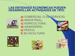 LAS ENTIDADES ECONÓMICAS PUEDEN DESARROLLAR ACTIVIDADES DE TIPO: a)   COMERCIAL O DE SERVICIO; b)   INDUSTRIAL;  c)   AGRICULTURA;  d)   GANADERÍA; e)   PESCA; f)   SILVICULTURA . 