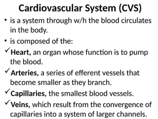 1 CVS Note.pptx cardiovascular system note | PPTX