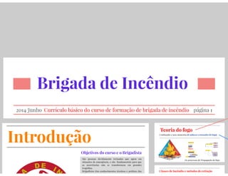 Brigada   prezi