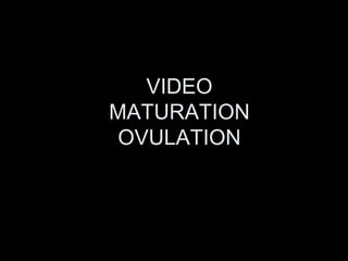 VIDEO 
MATURATION 
OVULATION 
 