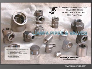 We do the Casting & Forging.
• Fittings • Valves • Flanges • Nipples
• High Pressure Fittings & Valves
• Quick Joint
www.lianfachina.com
 