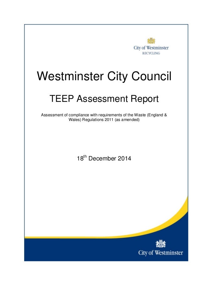 Appendix 1 Teep Report