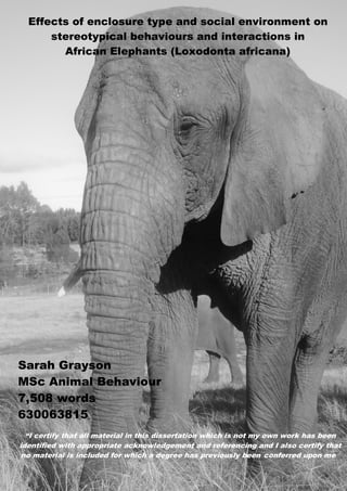 630063815
1
Effects of enclosure type and social environment on
stereotypical behaviours and interactions in
African Elephants (Loxodonta africana)
Sarah Grayson
MSc Animal Behaviour
7,508 words
630063815
“I certify that all material in this dissertation which is not my own work has been
identified with appropriate acknowledgement and referencing and I also certify that
no material is included for which a degree has previously been conferred upon me.”
 