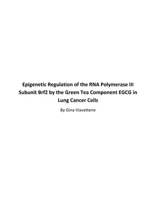 Epigenetic Regulation of the RNA Polymerase III
Subunit Brf2 by the Green Tea Component EGCG in
Lung Cancer Cells
By Gina Viavattene
 