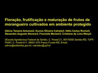 Floração, frutificação e maturação de frutos de
morangueiro cultivados em ambiente protegido
Odirce Teixeira Antunes2; Eunice Oliveira Calvete3; Hélio Carlos Rocha3;
Alexandre Augusto Nienow3; Franciele Mariani3; Cristiane de Lima Wesp3
2Escola Agrotécnica Federal de Sertão, C. Postal 21, 99170000 Sertão-RS; ³UPF-
FAMV, C. Postal 611, 99001-970 Passo Fundo-RS; Email:
odirce@eafsertao.gov.br; calveteu@upf.br
 