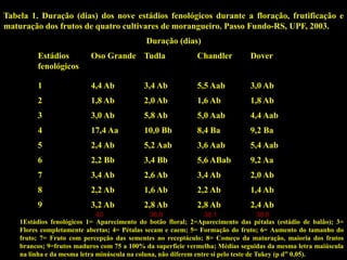 Duração (dias)
Estádios
fenológicos
Oso Grande Tudla Chandler Dover
1 4,4 Ab 3,4 Ab 5,5 Aab 3,0 Ab
2 1,8 Ab 2,0 Ab 1,6 Ab 1,8 Ab
3 3,0 Ab 5,8 Ab 5,0 Aab 4,4 Aab
4 17,4 Aa 10,0 Bb 8,4 Ba 9,2 Ba
5 2,4 Ab 5,2 Aab 3,6 Aab 5,4 Aab
6 2,2 Bb 3,4 Bb 5,6 ABab 9,2 Aa
7 3,4 Ab 2,6 Ab 3,4 Ab 2,0 Ab
8 2,2 Ab 1,6 Ab 2,2 Ab 1,4 Ab
9 3,2 Ab 2,8 Ab 2,8 Ab 2,4 Ab
Tabela 1. Duração (dias) dos nove estádios fenológicos durante a floração, frutificação e
maturação dos frutos de quatro cultivares de morangueiro. Passo Fundo-RS, UPF, 2003.
1Estádios fenológicos 1= Aparecimento do botão floral; 2=Aparecimento das pétalas (estádio de balão); 3=
Flores completamente abertas; 4= Pétalas secam e caem; 5= Formação do fruto; 6= Aumento do tamanho do
fruto; 7= Fruto com percepção das sementes no receptáculo; 8= Começo da maturação, maioria dos frutos
brancos; 9=frutos maduros com 75 a 100% da superfície vermelha; Médias seguidas da mesma letra maiúscula
na linha e da mesma letra minúscula na coluna, não diferem entre si pelo teste de Tukey (p d” 0,05).
40 36.8 38.1 38.8
 