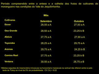 Cultivares
Mês
Setembro Outubro
Dover 28,50 a A 27,50 a A
Oso Grande 28,50 a A 23,25 b B
Aleluia 27,75 a A 27,00 a A
Toyonoka 28,25 a A 29,75 a A
Aromas 29,75 a A 24,25 b B
Camino Real 27,75 a A 23,25 b B
Ventana 30,50 a A 26,75 a B
Período compreendido entre a antese e a colheita dos frutos de cultivares de
morangueiro nas condições do Vale do Jequitinhonha.
•Médias seguidas de mesma letra minúscula na horizontal e maiúscula na vertical não diferem entre si pelo
teste de Tukey ao nível de 5% de probabilidade. CV (%) = 9.22
 