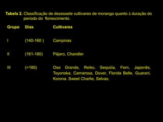 Grupo Dias Cultivares
I (140-160 ) Campinas
II (161-180) Pájaro, Chandler
III (>180) Oso Grande, Reiko, Sequóia, Fern, Japonês,
Toyonoka, Camarosa, Dover, Florida Belle, Guarani,
Korona. Sweet Charlie, Selvas,
Tabela 2. Classificação de dezessete cultivares de morango quanto à duração do
período do florescimento.
 