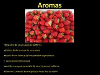 •Originária da Universidade da California
•Cultivar de dia neutro e de porte ereto
•Produz frutos firmes e de boa qualidade organoléptica.
• Coloração vermelha escura
•Aptidão tanto para o mercado de mesa como para indústria
•Apresenta uma taxa de multiplicação muito alta no viveiro
Aromas
 