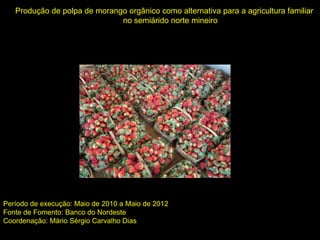 Produção de polpa de morango orgânico como alternativa para a agricultura familiar
no semiárido norte mineiro
Período de execução: Maio de 2010 a Maio de 2012
Fonte de Fomento: Banco do Nordeste
Coordenação: Mário Sérgio Carvalho Dias
Produção de polpa de morango orgânico como alternativa para a agricultura familiar
no sul de Minas Gerais
 