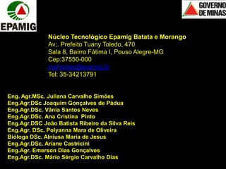 Núcleo Tecnológico Epamig Batata e Morango
Av;. Prefeito Tuany Toledo, 470
Sala 8, Bairro Fátima I, Pouso Alegre-MG
Cep:37550-000
mariodias@epamig.br
Tel: 35-34213791
Eng. Agr.MSc. Juliana Carvalho Simões
Eng.Agr.DSc Joaquim Gonçalves de Pádua
Eng.Agr.DSc. Vânia Santos Neves
Eng.Agr.DSc. Ana Cristina Pinto
Eng.Agr.DSC João Batista Ribeiro da Silva Reis
Eng.Agr. DSc. Polyanna Mara de Oliveira
Bióloga DSc. Alniusa Maria de Jesus
Eng.Agr.DSc. Ariane Castricini
Eng.Agr. Emerson Dias Gonçalves
Eng.Agr.DSc. Mário Sérgio Carvalho Dias
 
