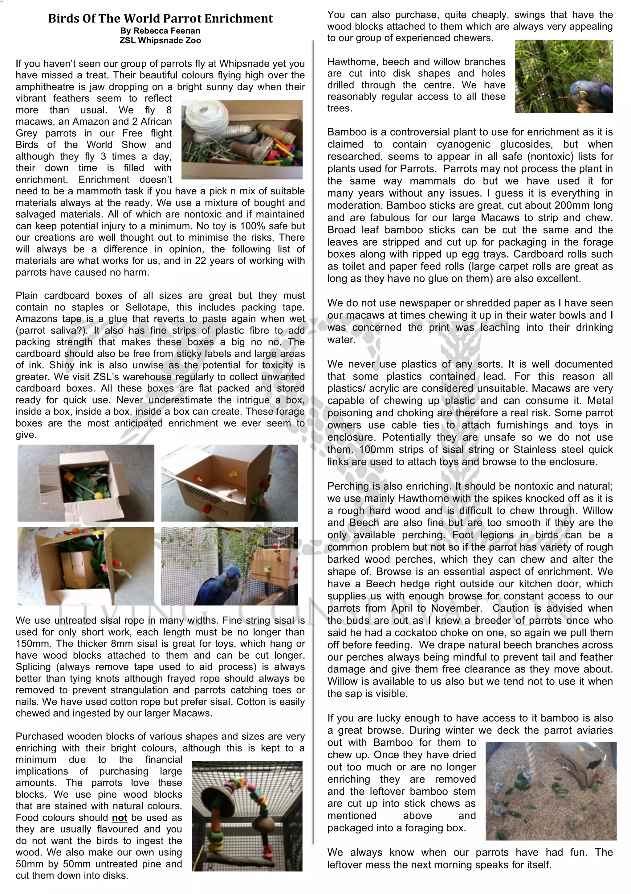Enriching ZSL Spring 15 | PDF - Containment Considerations For Macaw