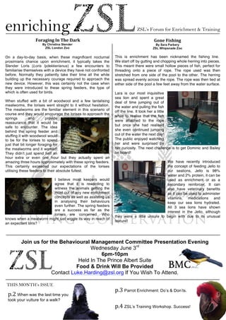 !
!
enriching ZSL’s Forum for Enrichment & Training
!Foraging!In!The!Dark!
By Christina Stender
ZSL London Zoo
!
On a day-to-day basis, when these magnificent nocturnal
prosimians chance upon enrichment, it typically takes the
Slender Loris (Loris lydekkerianus) a few encounters to
familiarise themselves with a device they have not confronted
before. Normally they patiently take their time all the while
building up the necessary courage required to approach the
new device. However, this was certainly not the case when
they were introduced to these spring feeders, the type of
which is often used for birds.
When stuffed with a bit of woodwool and a few tantalising
mealworms, the lorises went straight to it without hesitation.
The mealworms are the familiar element in this scenario of
course and they would encourage the lorises to approach the
springs and provide
reassurance that it would be
safe to encounter. The idea
behind the spring feeder and
stuffing it with woodwool would
to be for the lorises to spend
just that bit longer foraging for
the mealworms and it worked!
They didn’t just spend half an
hour extra or even one hour but they actually spent an
amazing three hours approximately with these spring feeders.
This certainly exceeded our expectations of the lorises
utilising these feeders to their absolute fullest.
I believe most keepers would
agree that it is rewarding to
witness the animals getting the
most out of any new enrichment
concepts as well as assisting us
in analysing their behaviours
even further. The spring feeders
are a success as far as the
lorises are concerned. Who
knows when a mealworm might just wiggle its way in reach of
an expectant loris?
Gone!Fishing!
By Sara Parbery
ZSL Whipsnade Zoo
This is enrichment has been nicknamed the fishing line.
We start off by gutting and chopping whole herring into pieces.
This meant there were small hollow pieces of fish, perfect for
threading onto a piece of rope. The rope used was then
stretched from one side of the pool to the other. The herring
was spread evenly across the rope. The rope was then tied at
either side of the pool a few feet away from the water surface.
Lara is our most inquisitive
sea lion and spent a great
deal of time jumping out of
the water and pulling the fish
off the line. It took her a little
while to realise that the fish
were attached to the rope
but once she had realised
she even continued jumping
out of the water the next day!
The public enjoyed watching
her and were surprised by
her curiosity. The next challenge is to get Dominic and Bailey
on board!
We have recently introduced
the concept of feeding Jello to
our sealions, Jello is 98%
water and 2% protein, it can be
used as enrichment or as a
secondary reinforcer. It can
also have veterinary benefits
as it can be used to administer
vitamins, medications and
keep our sea lions hydrated.
All 3 sea lions have shown
interest in the Jello, although
they were a little unsure to begin with due to its unusual
texture!
THIS MONTH’s ISSUE
p.2!When was the last time you
took your vulture for a walk?
p.3!Parrot Enrichment: Do’s & Don’ts.
p.4!ZSL’s Training Workshop. Success!
Join us for the Behavioural Management Committee Presentation Evening
Wednesday June 3rd
6pm-10pm
Held In The Prince Albert Suite
Food & Drink Will Be Provided
Contact Luke.Harding@zsl.org If You Wish To Attend.
 