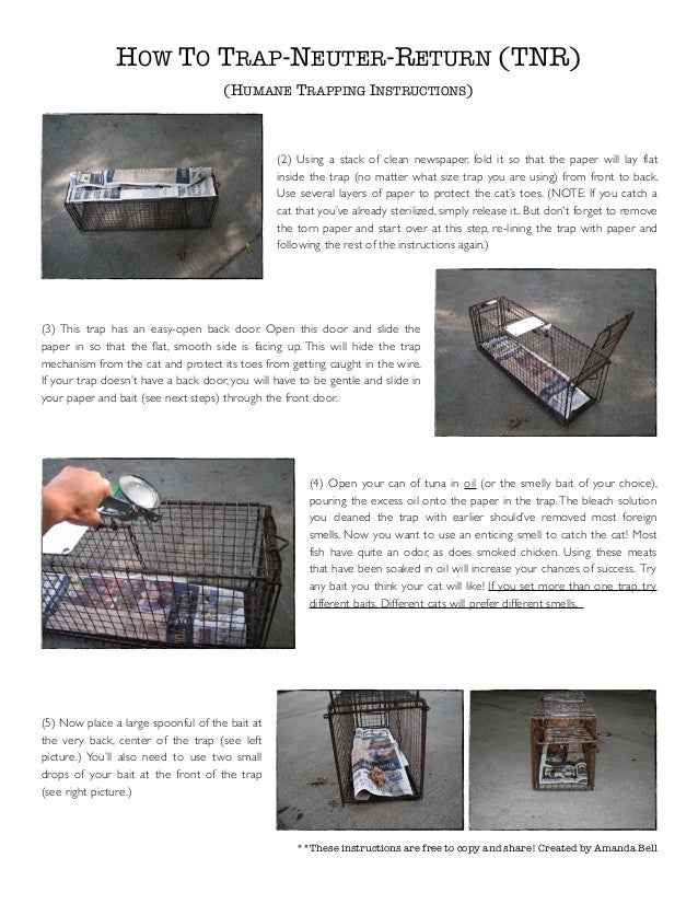 Trapping Instructions