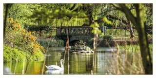 King George’s Park – 0.3 miles / 5 minutes’ walk
 