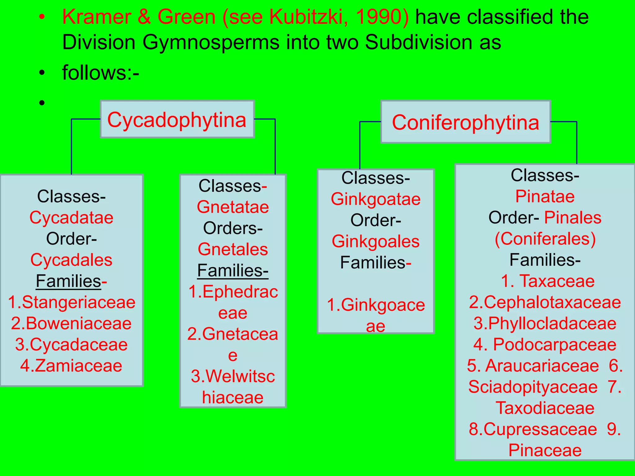 • Kramer & Green (see Kubitzki, 1990) have classified the
Division Gymnosperms into two Subdivision as
• follows:-
•
Cycadophytina Coniferophytina
Classes-
Cycadatae
Order-
Cycadales
Families-
1.Stangeriaceae
2.Boweniaceae
3.Cycadaceae
4.Zamiaceae
Classes-
Gnetatae
Orders-
Gnetales
Families-
1.Ephedrac
eae
2.Gnetacea
e
3.Welwitsc
hiaceae
Classes-
Ginkgoatae
Order-
Ginkgoales
Families-
1.Ginkgoace
ae
Classes-
Pinatae
Order- Pinales
(Coniferales)
Families-
1. Taxaceae
2.Cephalotaxaceae
3.Phyllocladaceae
4. Podocarpaceae
5. Araucariaceae 6.
Sciadopityaceae 7.
Taxodiaceae
8.Cupressaceae 9.
Pinaceae
 