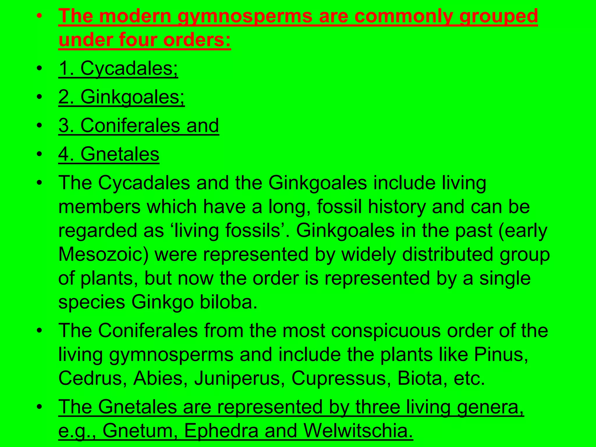 • The modern gymnosperms are commonly grouped
under four orders:
• 1. Cycadales;
• 2. Ginkgoales;
• 3. Coniferales and
• 4. Gnetales
• The Cycadales and the Ginkgoales include living
members which have a long, fossil history and can be
regarded as ‘living fossils’. Ginkgoales in the past (early
Mesozoic) were represented by widely distributed group
of plants, but now the order is represented by a single
species Ginkgo biloba.
• The Coniferales from the most conspicuous order of the
living gymnosperms and include the plants like Pinus,
Cedrus, Abies, Juniperus, Cupressus, Biota, etc.
• The Gnetales are represented by three living genera,
e.g., Gnetum, Ephedra and Welwitschia.
 