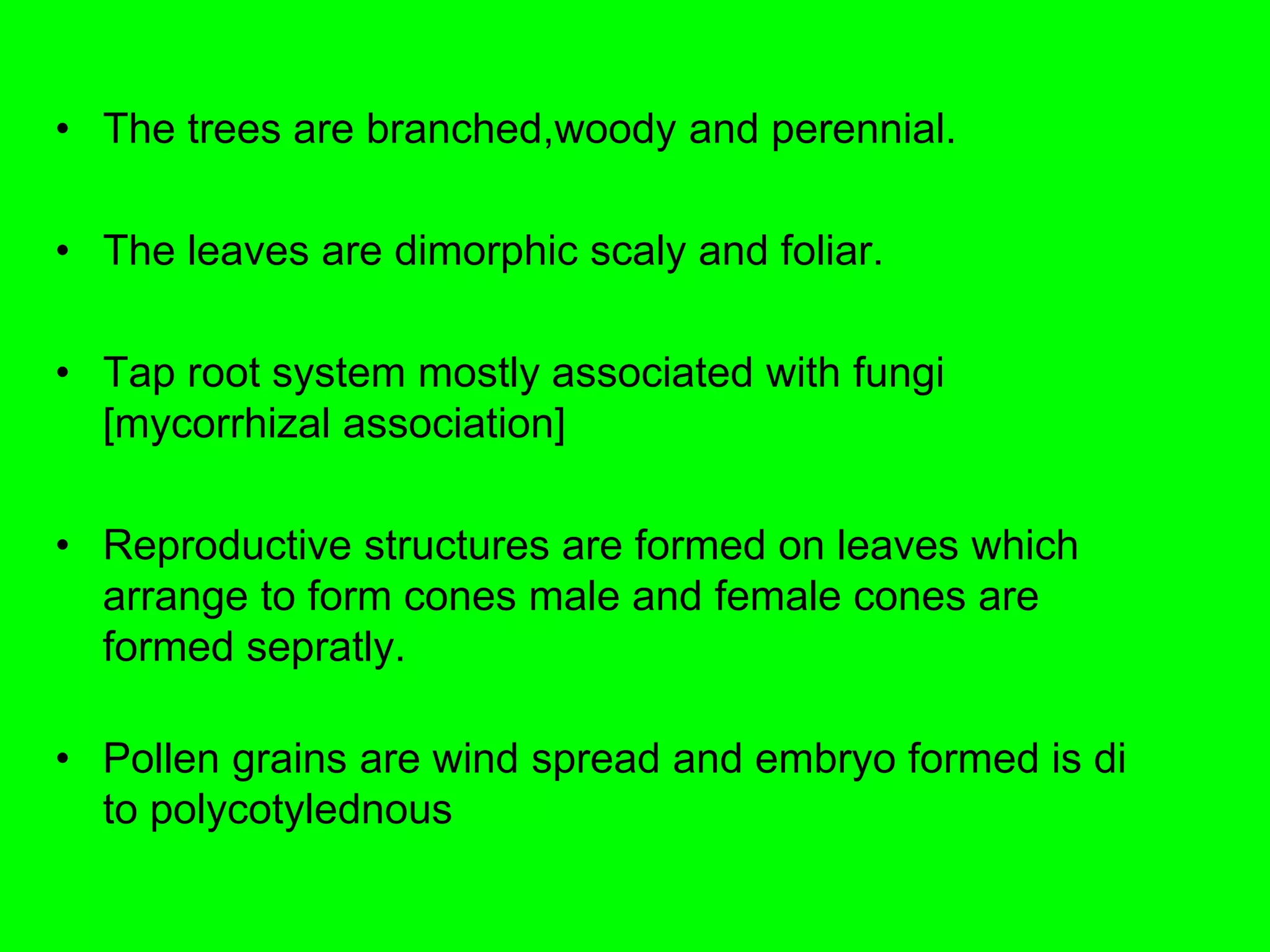 • The trees are branched,woody and perennial.
• The leaves are dimorphic scaly and foliar.
• Tap root system mostly associated with fungi
[mycorrhizal association]
• Reproductive structures are formed on leaves which
arrange to form cones male and female cones are
formed sepratly.
• Pollen grains are wind spread and embryo formed is di
to polycotylednous
 