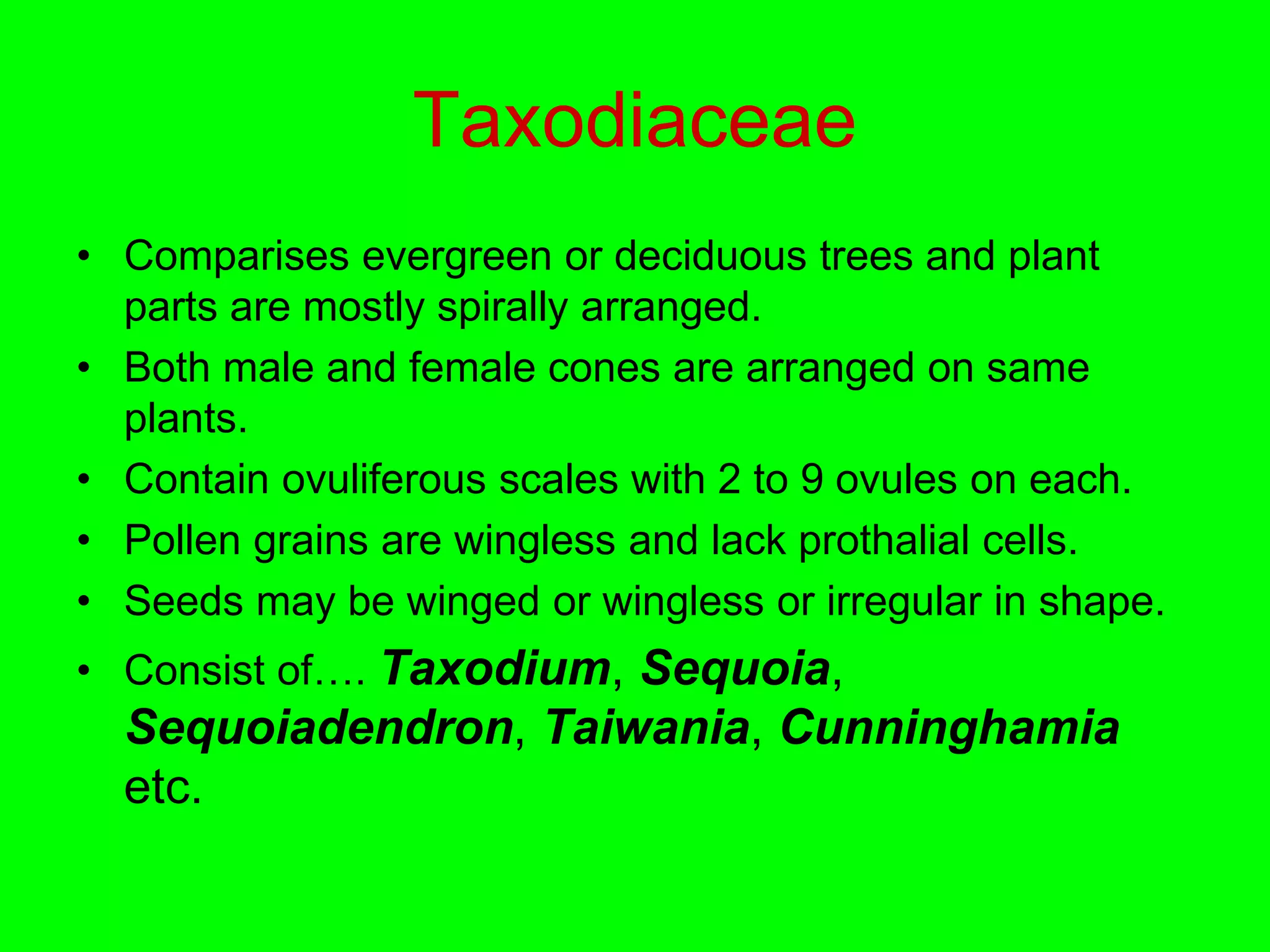 Taxodiaceae
• Comparises evergreen or deciduous trees and plant
parts are mostly spirally arranged.
• Both male and female cones are arranged on same
plants.
• Contain ovuliferous scales with 2 to 9 ovules on each.
• Pollen grains are wingless and lack prothalial cells.
• Seeds may be winged or wingless or irregular in shape.
• Consist of…. Taxodium, Sequoia,
Sequoiadendron, Taiwania, Cunninghamia
etc.
 