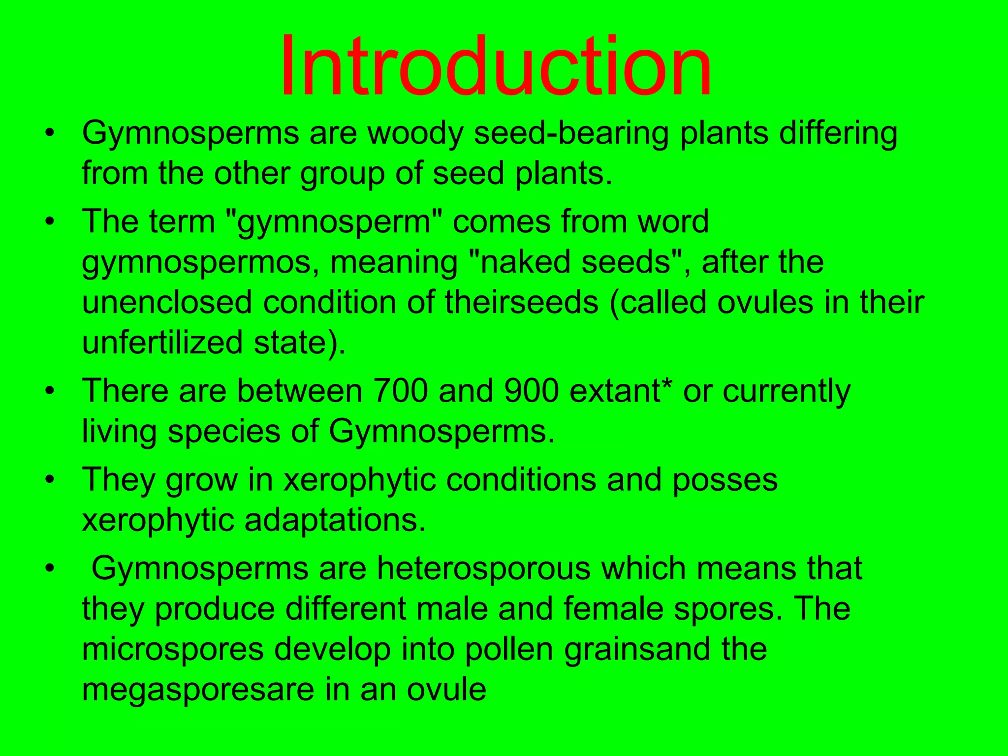 Introduction
• Gymnosperms are woody seed-bearing plants differing
from the other group of seed plants.
• The term "gymnosperm" comes from word
gymnospermos, meaning "naked seeds", after the
unenclosed condition of theirseeds (called ovules in their
unfertilized state).
• There are between 700 and 900 extant* or currently
living species of Gymnosperms.
• They grow in xerophytic conditions and posses
xerophytic adaptations.
• Gymnosperms are heterosporous which means that
they produce different male and female spores. The
microspores develop into pollen grainsand the
megasporesare in an ovule
 