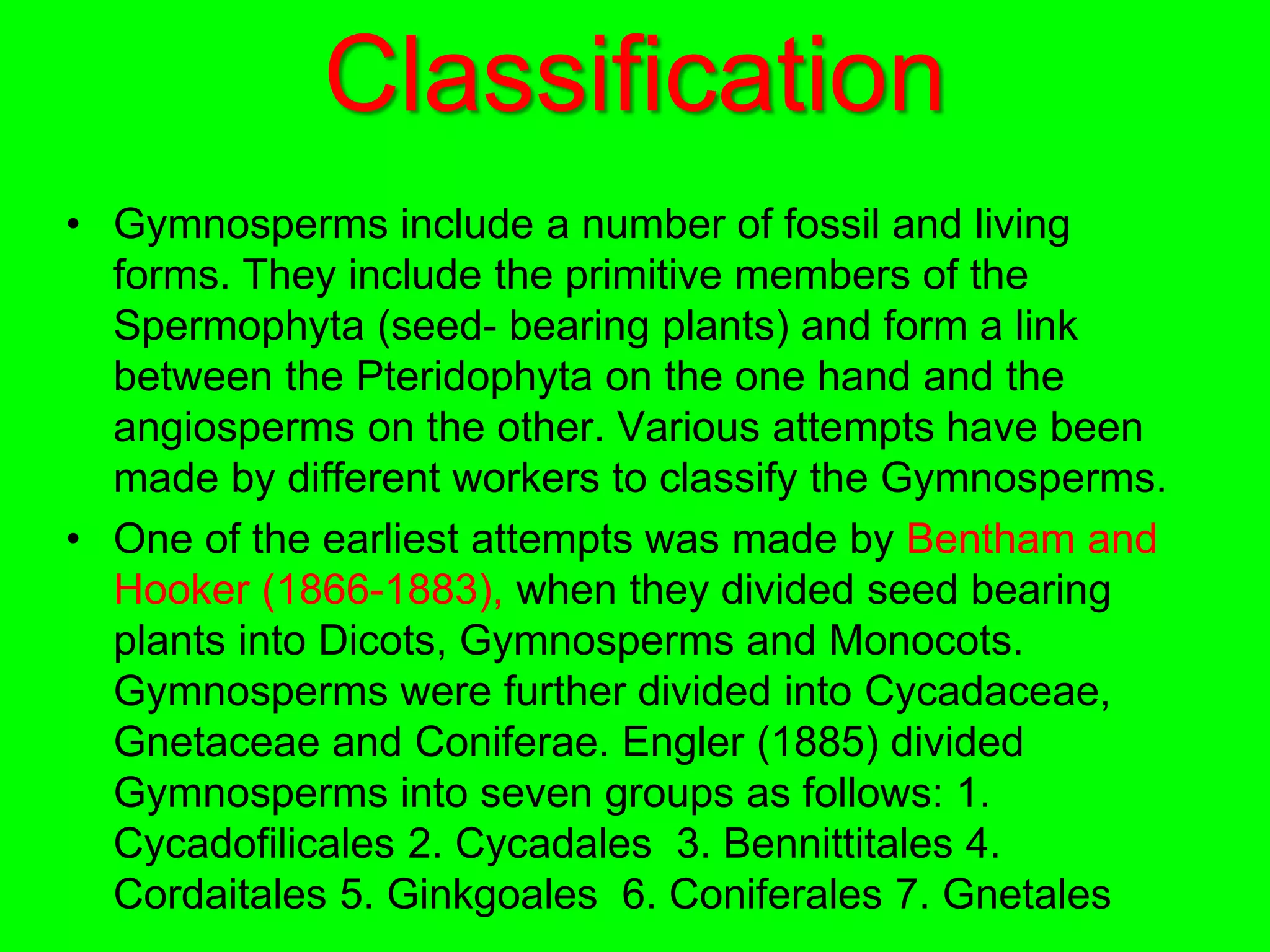 Classification
• Gymnosperms include a number of fossil and living
forms. They include the primitive members of the
Spermophyta (seed- bearing plants) and form a link
between the Pteridophyta on the one hand and the
angiosperms on the other. Various attempts have been
made by different workers to classify the Gymnosperms.
• One of the earliest attempts was made by Bentham and
Hooker (1866-1883), when they divided seed bearing
plants into Dicots, Gymnosperms and Monocots.
Gymnosperms were further divided into Cycadaceae,
Gnetaceae and Coniferae. Engler (1885) divided
Gymnosperms into seven groups as follows: 1.
Cycadofilicales 2. Cycadales 3. Bennittitales 4.
Cordaitales 5. Ginkgoales 6. Coniferales 7. Gnetales
 