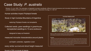 Case Study: P. australis
Human activities impact Polylepis forests
Study in high Cordoba Mountains of Argentina
restoring Polylepis forests via transplants
Collected seeds, grew seedlings in greenhouse,
transplanted seedlings to 10 acre exclosure
designed to keep out livestock
measured microsite characteristics around plants
soil depth, substrate, vegetation cover
every winter survival and shoot height measured
Renison, D. et al. 2005. The restoration of degraded mountain woodlands: effects of seed provenance and microsite characteristics on Polylepis
australis seedling survival and growth in central Argentina. Restoration Ecology 13: 129-137
 