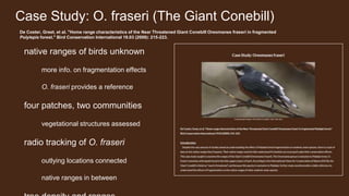 Case Study: O. fraseri (The Giant Conebill)
native ranges of birds unknown
more info. on fragmentation effects
O. fraseri provides a reference
four patches, two communities
vegetational structures assessed
radio tracking of O. fraseri
outlying locations connected
native ranges in between
De Coster, Greet, et al. "Home range characteristics of the Near Threatened Giant Conebill Oreomanes fraseri in fragmented
Polylepis forest." Bird Conservation International 19.03 (2009): 215-223.
 