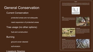 General Conservation
Current Conservation
protected areas are not adequate
need expansion of protected areas
Tree usage (no other options)
fuel and construction
Burning
ground cover cleared
soil erosion
 