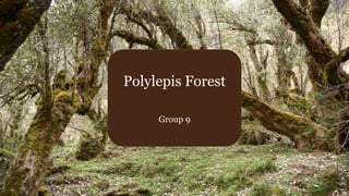 Polylepis Forest
Group 9
 
