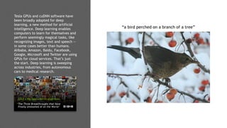 16
Tesla GPUs and cuDNN software have
been broadly adopted for deep
learning, a new method for artificial
intelligence. Deep learning enables
computers to learn for themselves and
perform seemingly magical tasks, like
recognizing images, text and speech —
in some cases better than humans.
Alibaba, Amazon, Baidu, Facebook,
Google, Microsoft and Twitter are using
GPUs for cloud services. That’s just
the start. Deep learning is sweeping
across industries, from autonomous
cars to medical research.
“The Three Breakthroughs that have
Finally Unleashed AI on the World”
GPUs ● Big data ● Better algorithms
“a bird perched on a branch of a tree”
 