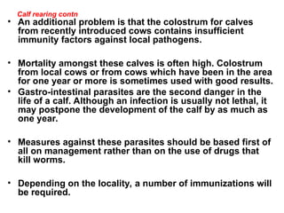 Comprehensive Guide to Modern Dairy Cattle Production and Management | PPT