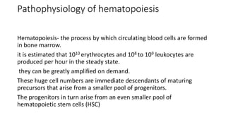 Pathophysiology of hematopoiesis
Hematopoiesis- the process by which circulating blood cells are formed
in bone marrow.
it is estimated that 1010 erythrocytes and 108 to 109 leukocytes are
produced per hour in the steady state.
they can be greatly amplified on demand.
These huge cell numbers are immediate descendants of maturing
precursors that arise from a smaller pool of progenitors.
The progenitors in turn arise from an even smaller pool of
hematopoietic stem cells (HSC)
 