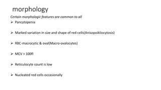 morphology
Certain morphologic features are common to all
 Pancytopenia
 Marked variation in size and shape of red cells(Anisopoikliocytosis)
 RBC-macrocytic & oval(Macro-ovalocytes)
 MCV > 100fl
 Reticulocyte count is low
 Nucleated red cells occasionally
 