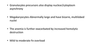 • Granulocytes precursors also display nuclear/cytoplasm
asynchrony
• Megakaryocytes-Abnormally large and have bizarre, multilobed
nuclei
• The anemia is further exacerbated by increased hemolytic
destruction
• Mild to moderate Fe overload
 