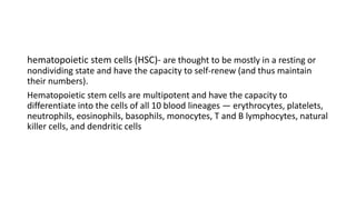 hematopoietic stem cells (HSC)- are thought to be mostly in a resting or
nondividing state and have the capacity to self-renew (and thus maintain
their numbers).
Hematopoietic stem cells are multipotent and have the capacity to
differentiate into the cells of all 10 blood lineages — erythrocytes, platelets,
neutrophils, eosinophils, basophils, monocytes, T and B lymphocytes, natural
killer cells, and dendritic cells
 